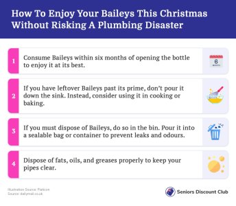 How To Enjoy Your Baileys This Christmas Without Risking A Plumbing Disaster.jpg