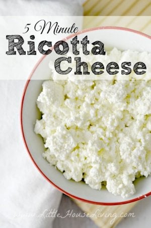 Learn How to Make Ricotta Cheese in 5 Minutes.jpeg.jpg