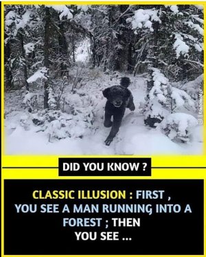 optical illusion.jpg