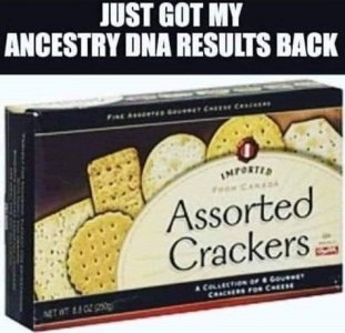 ancestry DNA.jpg