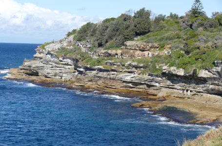 bondi-waterfront-walking-track.jpg