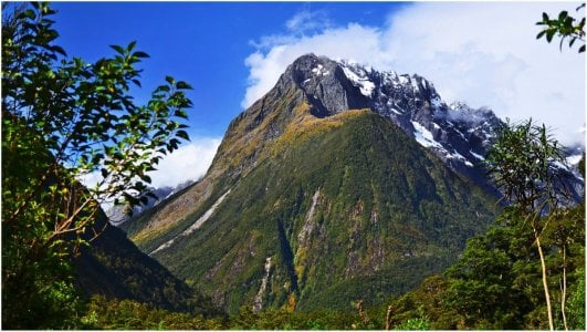 View on Road to Milford Sound NZ_b.jpg