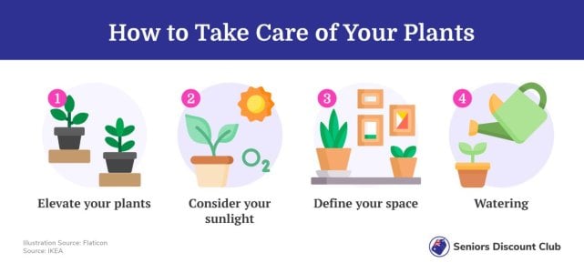 How to Take Care of Your Plants.jpg