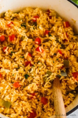 cajun-rice-03-1024x1536.jpg.jpg