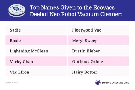 Top Names Given to the Ecovacs Deebot Neo Robot Vacuum Cleaner.jpg