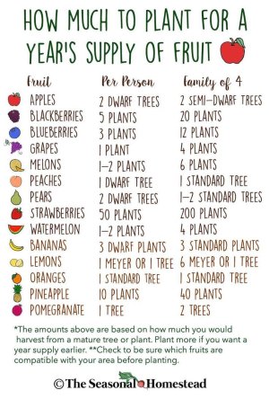 How Much to Plant for a Year's Supply of Fruit.jpeg