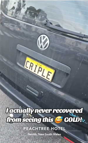 License Plate.png