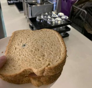 compressed-moldy bread.jpeg