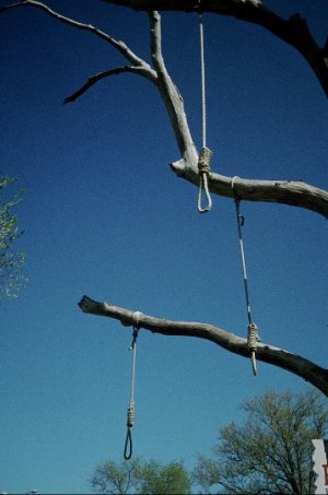 hanging-tree-ropes-tied-as-nooses-hang-down-from-branches-dodge-city-kansas-kans505-00116-kevi...jpg