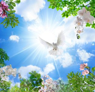 stock-photo--d-wallpaper-design-with-flowers-and-dove-under-sunshine-for-digital-print-mural-1...jpg