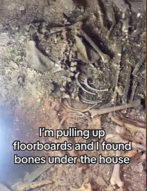 bones tiktok.png