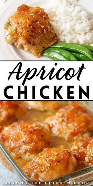 Apricot Chicken—A Comforting, Warm Meal!.jpeg