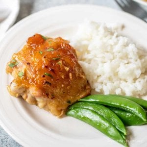 Apricot-Chicken-1024x1024.jpg