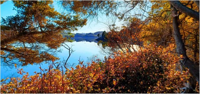 Catlins Lake_Autumn Colors copy.jpg