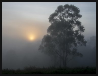IMAGE 03.jpg
