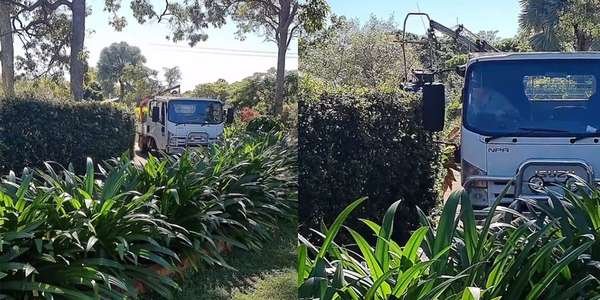 garden trick.jpeg