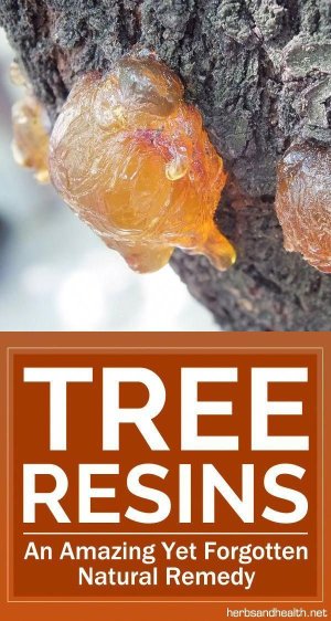 Untitled — 12 Effective Natural Home Remedies To Treat A_.jpeg