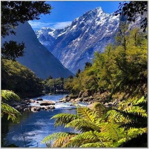 Vicinity Giant Gate Falls_Milford NZ copy.jpg