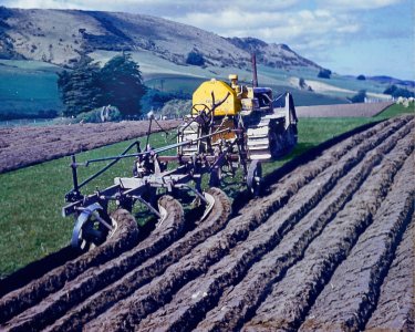 D2 & Plough_1960_Catlins NZ (2) Red.jpg