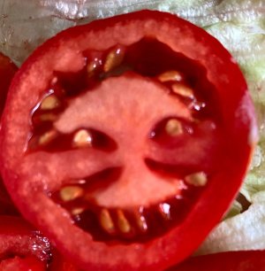 Tomatoes.jpg