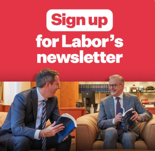 Labor'sNewsletter.png