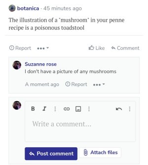 Screenshot_20240702_153600_Samsung Internet.jpg