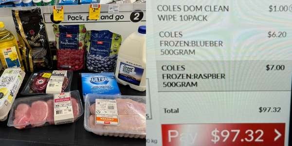 compressed-photo_coles grocery.jpeg