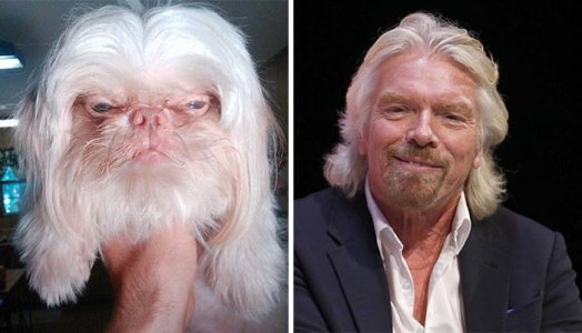 Animal Celebrity look alikes-3.jpg