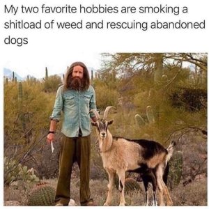 smoking weed and rescuing dogs lol.jpg