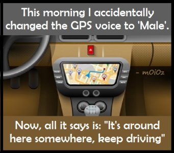 GPS male voice driving.jpg