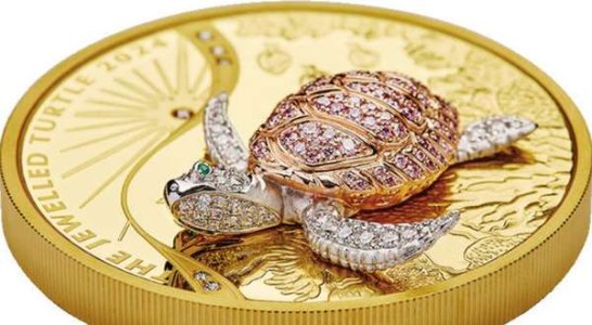 compressed-jewelled turtle.jpeg