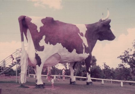 The Big Cow Jan 1977B.JPG