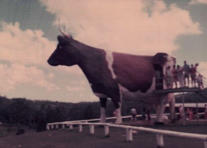 The Big Cow Jan 1977.JPG