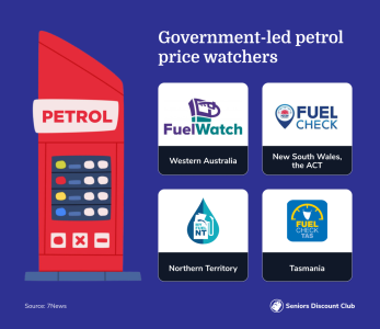 Government-led petrol price watchers.png