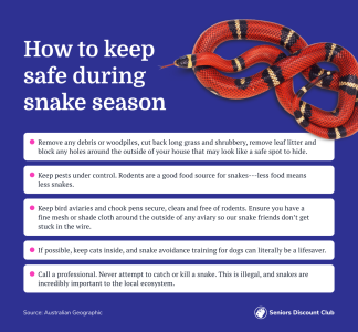 How to keep safe during snake season.png