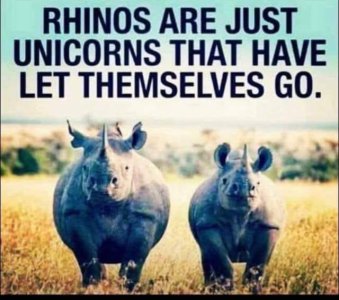 rhinos.jpg