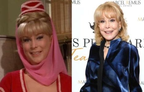 compressed-barbara eden.jpeg