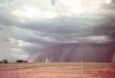 58654-Dust storm stage 1.jpg