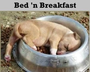 Bed and breakfast.jpg