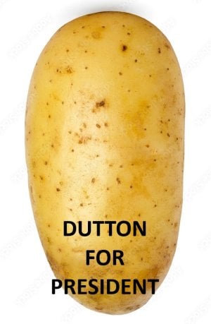 DUTTON FOR PRESIDENT.jpg