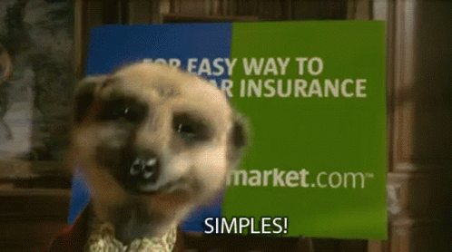 simples-meerkat.gif