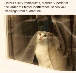 sisterfelicity.jpg