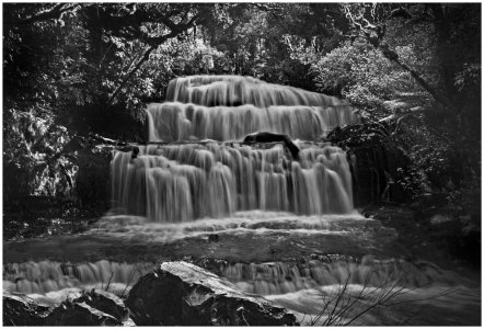 Purakanui_MkII_BW copy.jpg