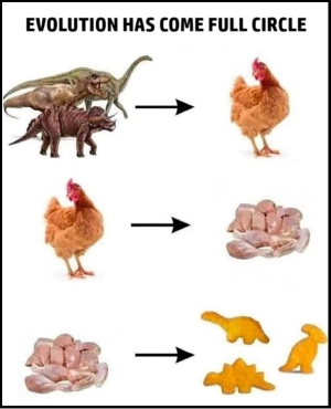 1731542257431.png
