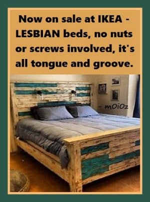 Lesbian Beds2.jpg