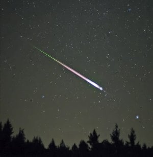 470px-Leonid_Meteor.jpg