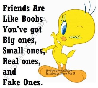 friends are like boobs.jpg