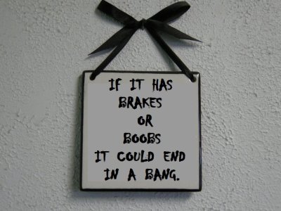 Brakes or Boobs.jpg