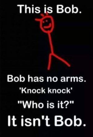 not bob.jpg