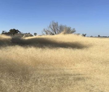 compressed-swan hill.jpeg